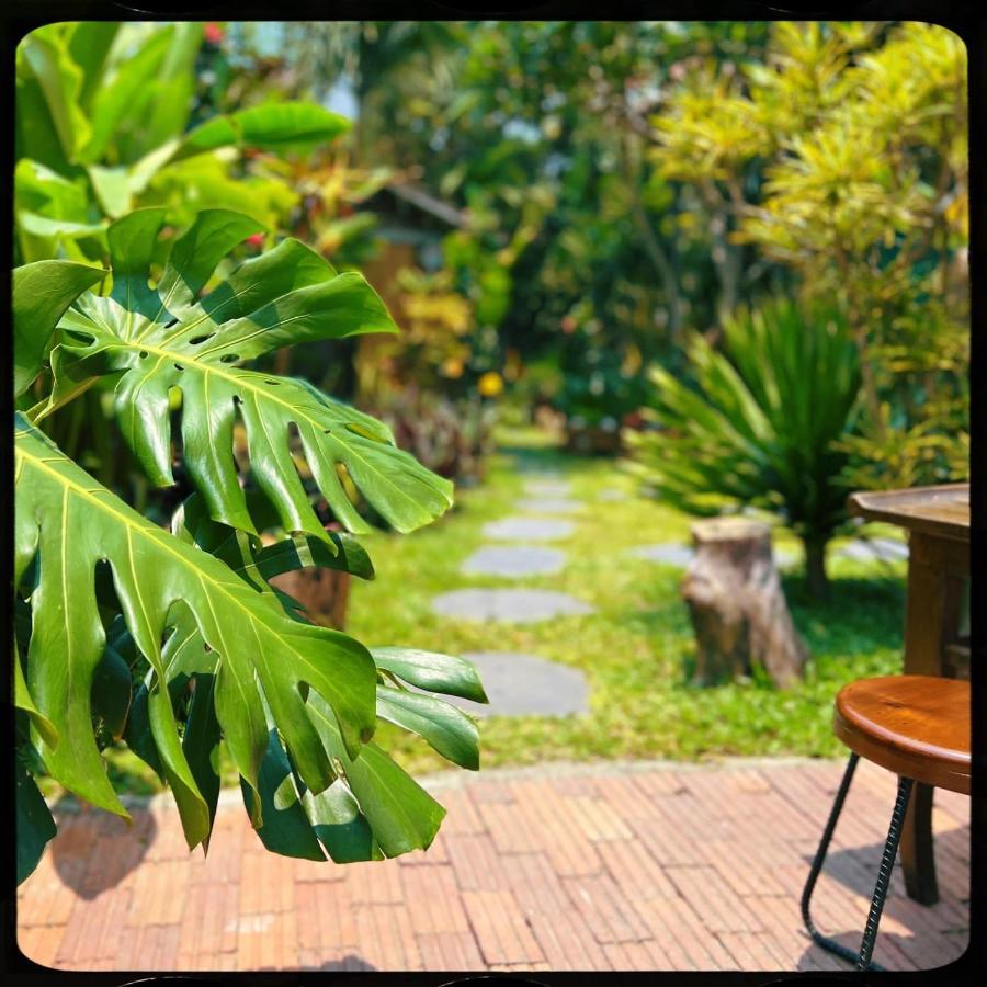 The Happy Bird B&B Hoi An Exterior foto